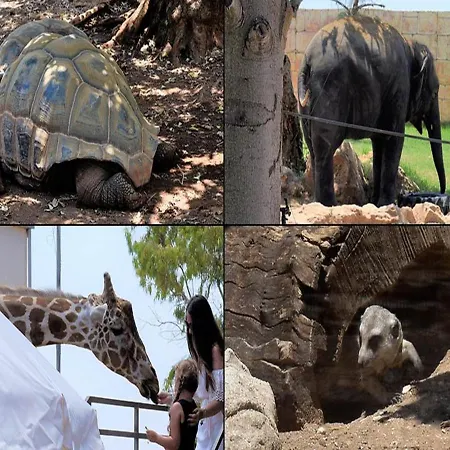 Villa Ocean Stones 1km From Main Coral Bay Peyia