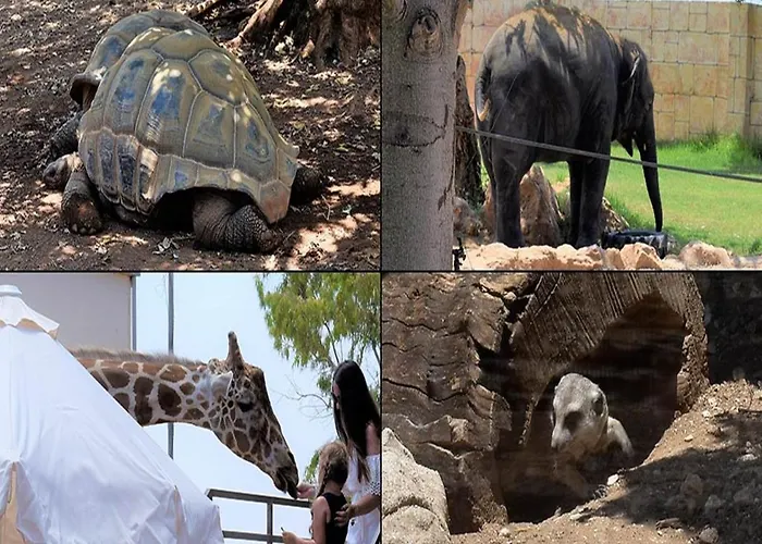 Villa Ocean Stones 1km From Main Coral Bay Pégeia
